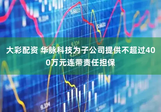 大彩配资 华脉科技为子公司提供不超过400万元连带责任担保