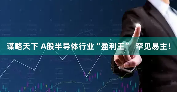 谋略天下 A股半导体行业“盈利王”  罕见易主！