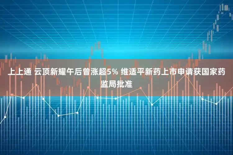 上上通 云顶新耀午后曾涨超5% 维适平新药上市申请获国家药监局批准